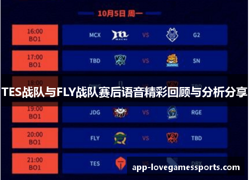 TES战队与FLY战队赛后语音精彩回顾与分析分享